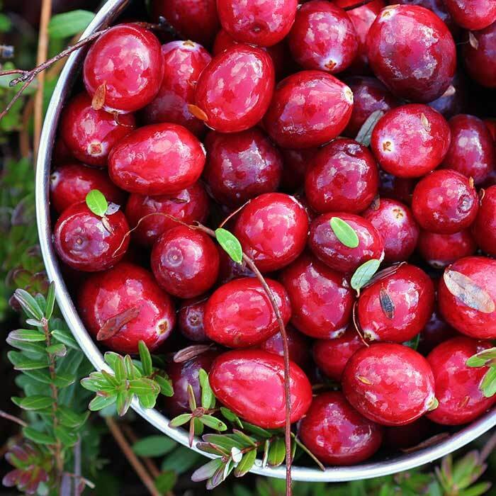 Las maravillas de invierno