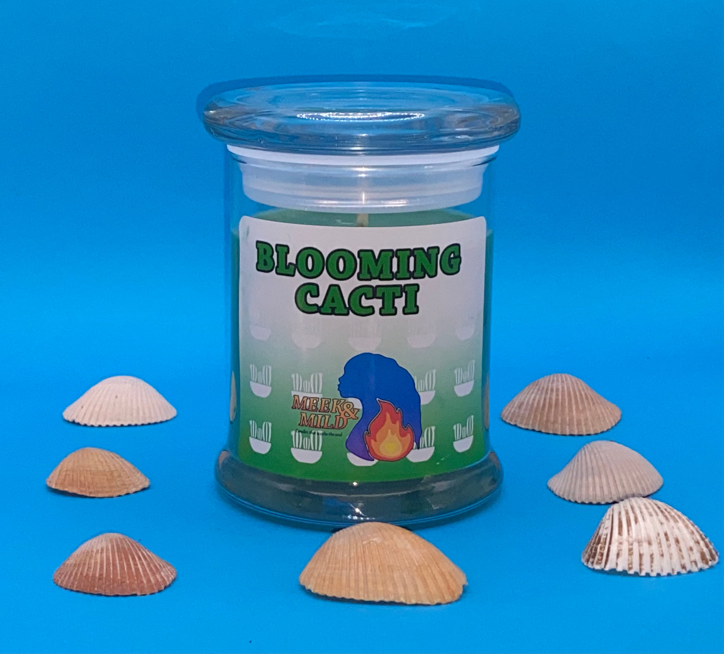 Blooming Cacti